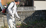 お庭の剪定・除草作業の写真