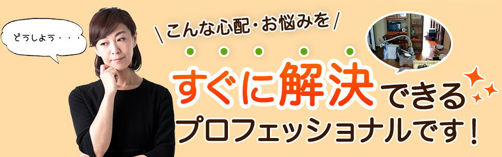 すぐに解決できるプロフェッショナルです
